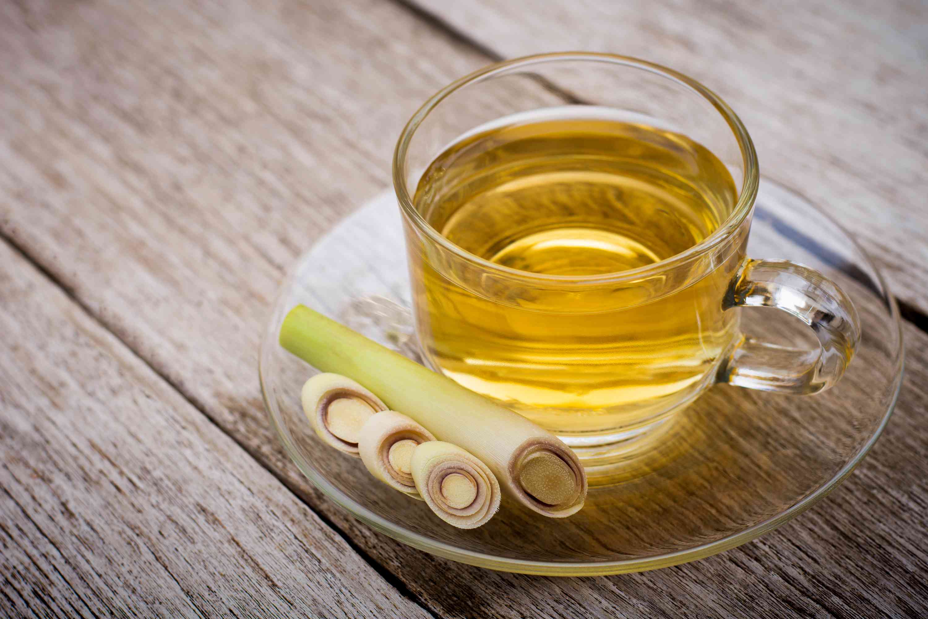 Lemon Grass Tea Wholesale Manufacturer & Supplier in India